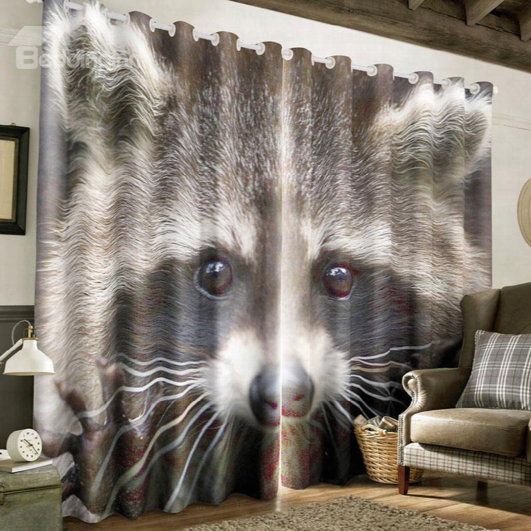 3d Grey Raccoon Printed Thick Polyester Custom Blackout Grommet Top Curtain