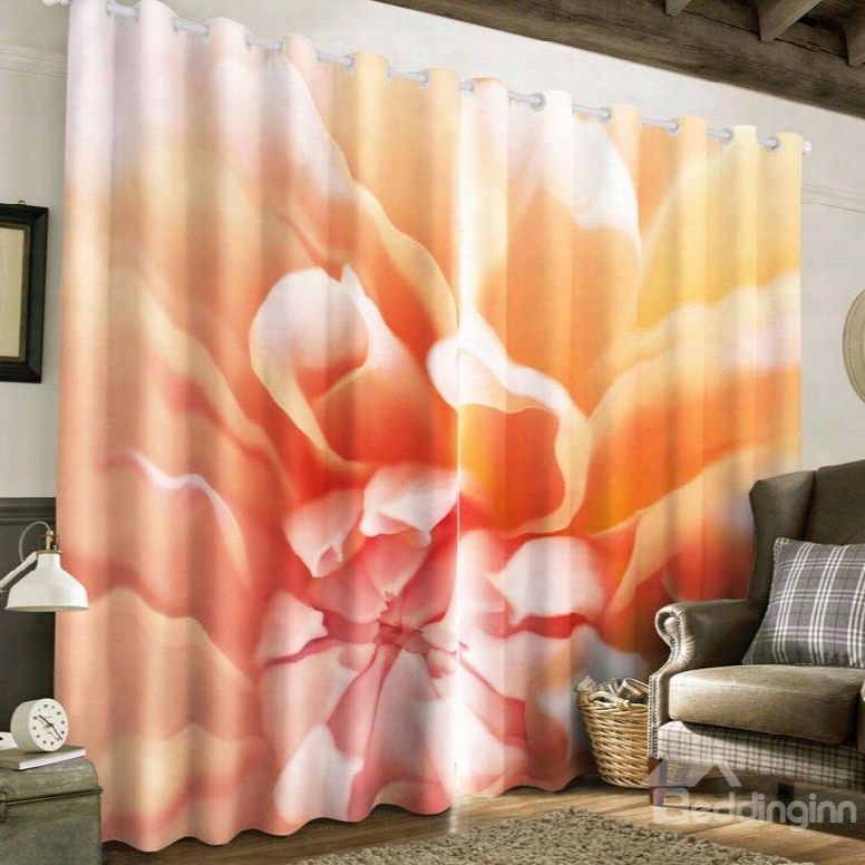 Creative And Abstract Pink Flower Printed 2 Panels Living Room 3d Curtain