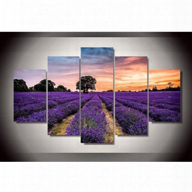 Purple Lavender Field Hanging 5-piece Canvas Eco-friendly And Waterproof Non-framed Prints