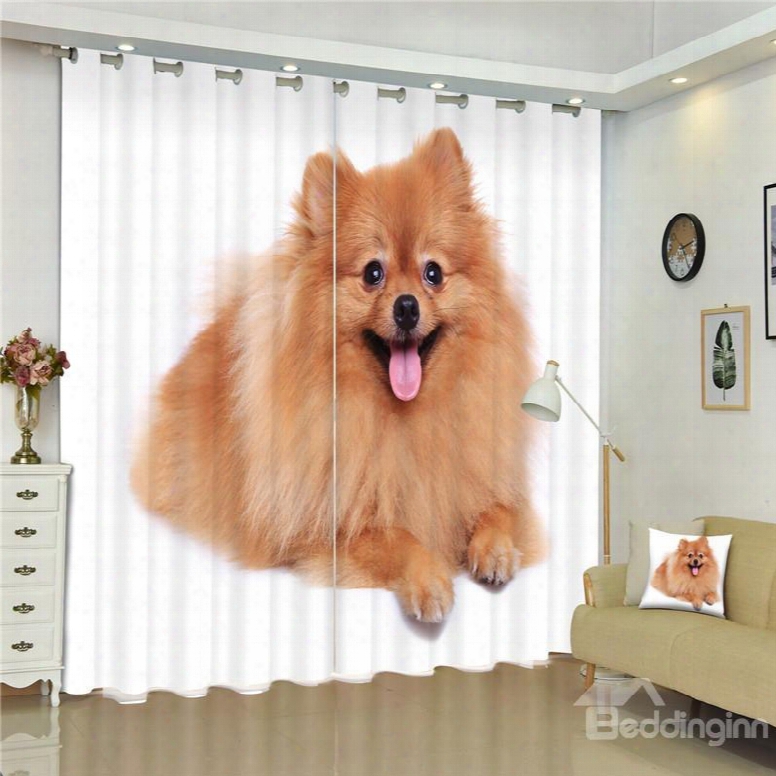 3d Adorable  Pomeranian Dog Printed Lovely Pet Dog 2 Panels Decorative And Shading Curtain