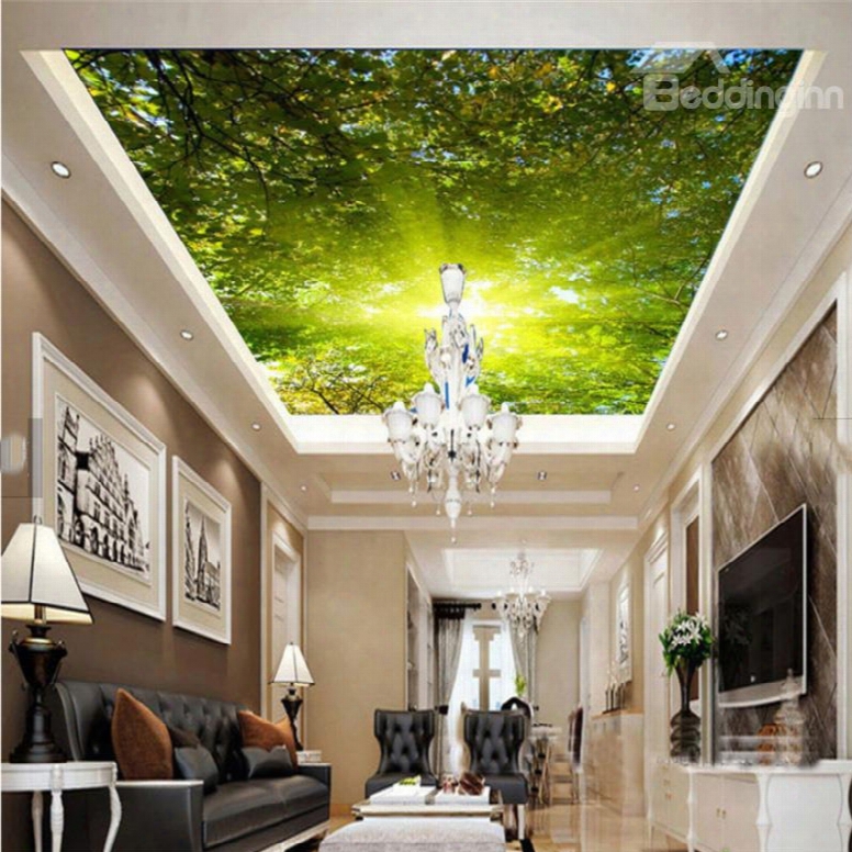 3d Green Forest In Sunshine Pvc Waterproof Sturdy Eco-friendly Self-adhesive Ceiling Murals