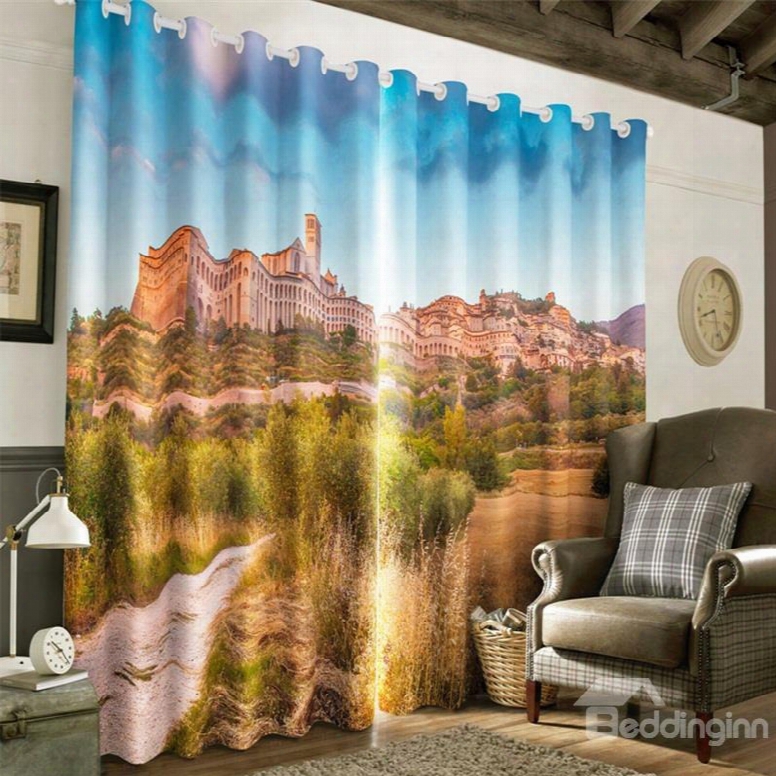 3d Outstanding Old Buildings And Yellow Grassland Printed Custom Polyester Window Curtain
