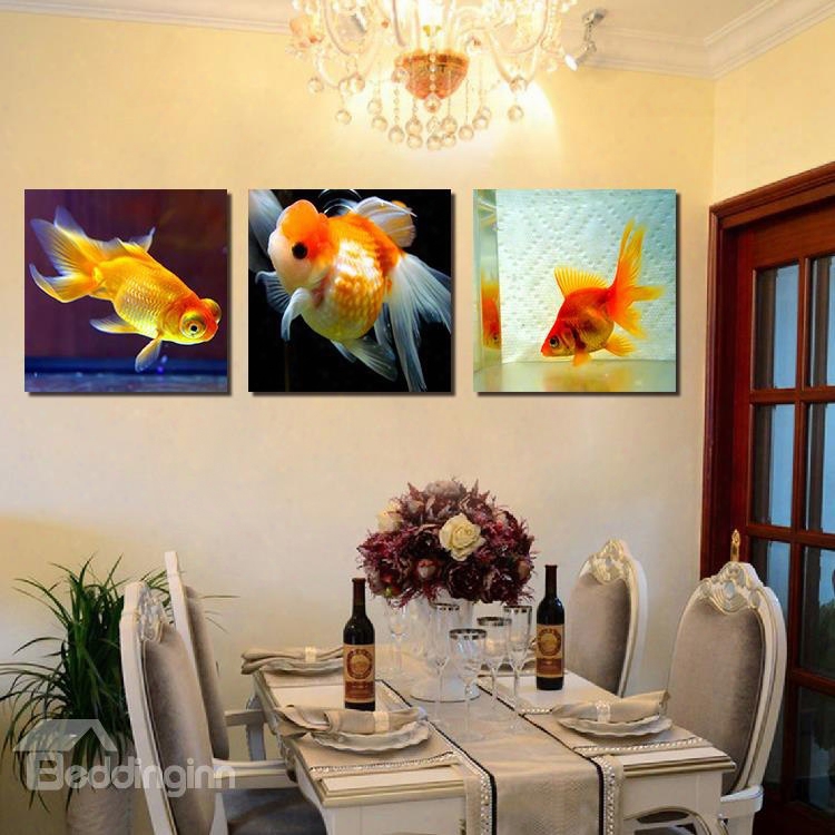 Beautiful Goldfish 3-pieces Of Crystal Film Art Wall Print