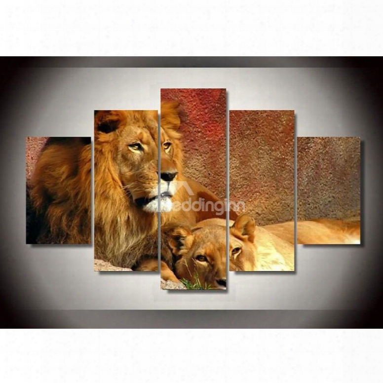 Brown Lion And Smilodon Hanging 5-piece Canvas Non-framed Wall Prints