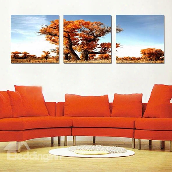 Fantastic Autumn Tree 3-pieces Of Crystal Fillm Art Wall Print