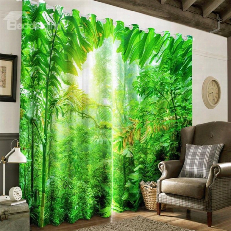 Lush Trees And Strong Sunlight Printed 2 Panels Decorative Custom 3d Curtain