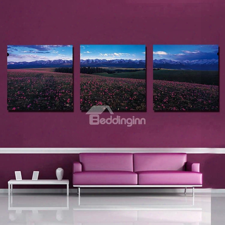 New Arrival Beautiful 3-pieces Of Crystal Film Art Wall Print