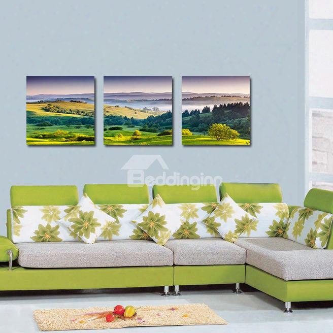 Wonderful Pretty Hillside 3-pieces Of Crystal Film Art Wall Print