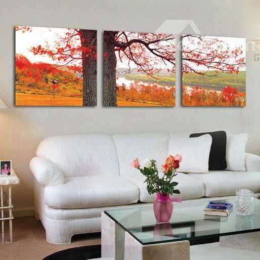 Beautiful Tree And Golden Red Leaves Print 3-piece Cross Film Wall Art Prints