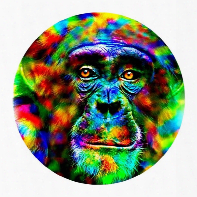 Colorful Chimpanzee He Ad Pattern Pvc Modern Non-slip Round Entrance Doormat