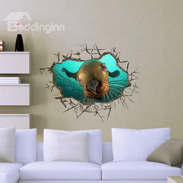 Cute Seal Looking Through Wall Hole 3d Wall Sticker