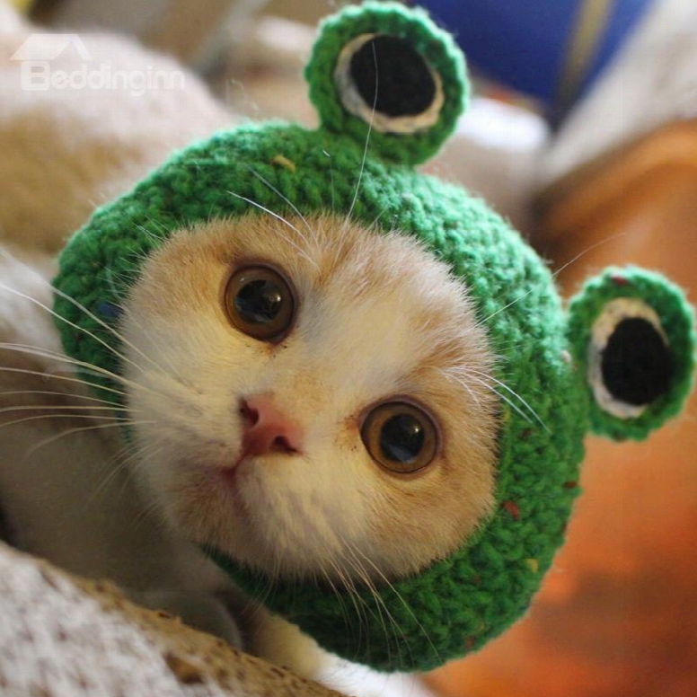 Frog Shape Design Cute Pet Green Hats For Small Cats