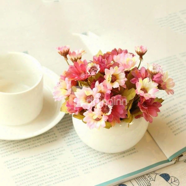 Lovely 4-color Daisies In Porcelain Pot Desktopd Ecoration Flower Sets
