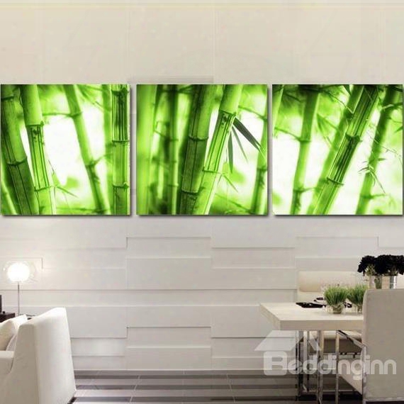 Nautral Green Bamboos Print 3-piece Cross Film Wall Art Prints