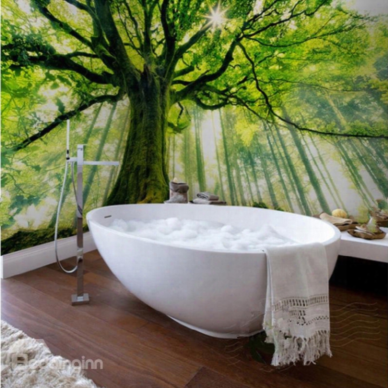 Sunlight Luxuriant Tree Pattern Design Decorative Waterproof 3d Bathroom Wall Murals