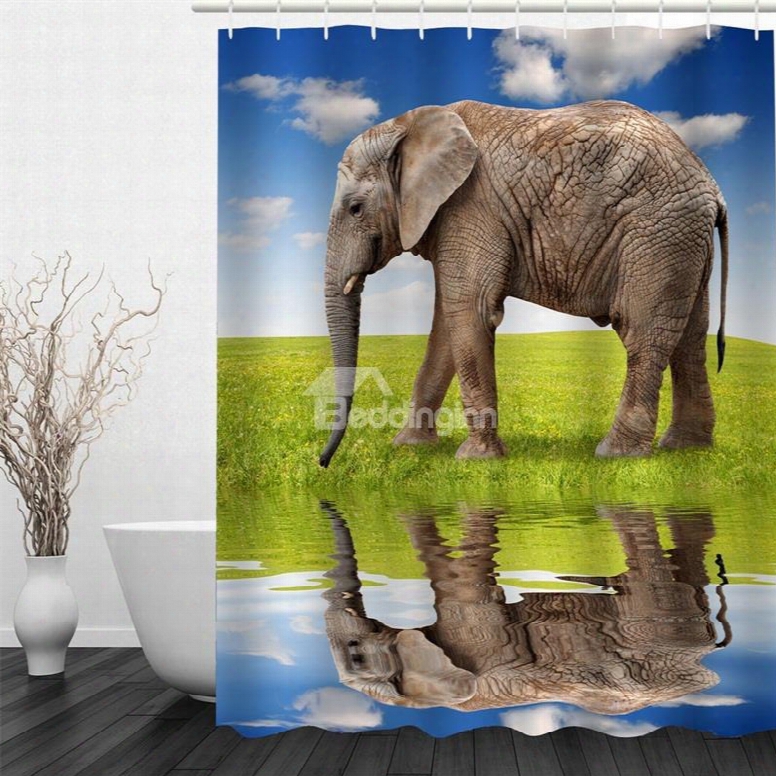 3d Walking Elephant Beside Lake Polyester Waterproof Antibacterial And Eco-friendly Shower Curtain