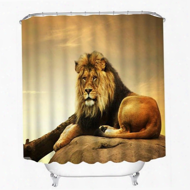 Vivid Fierce Lion Lying On The Stone Print 3d Shower Curtain