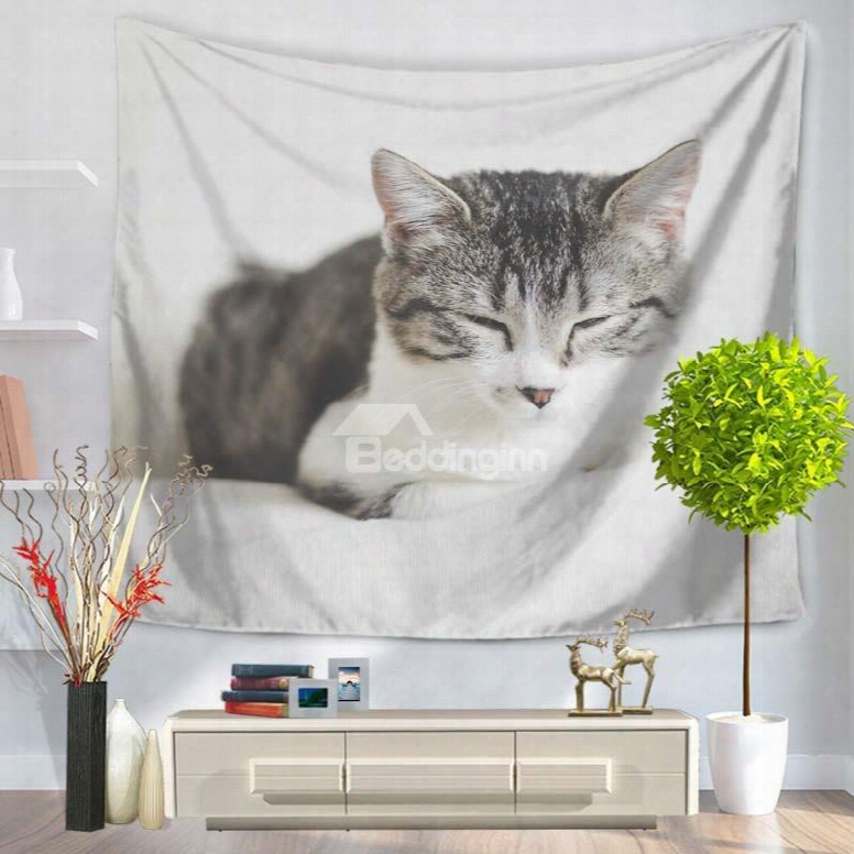 Cute Pet Cats Napping And Resting Decorative Hanging Wall Tapetry