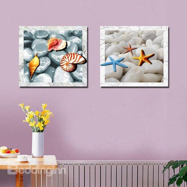 Lovely Square Starfish And Shell Pattern Canvas Framed Wall Art Prints