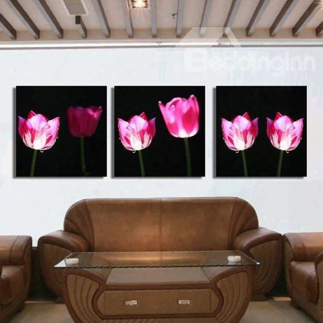 New Arrival Stunning Pink Tulips Print 3-piecec Ross Film Wall Art Prints
