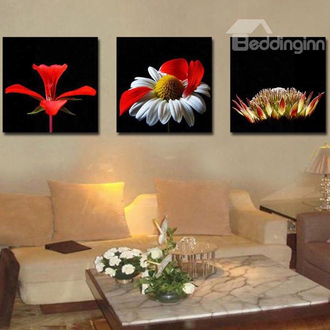 New Arrival Various Fancy And Colorful Flowers Canvas Wall Prints