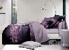 Purple Paisley Print Polyester 4-Piece Bedding Sets/Duvet Covers