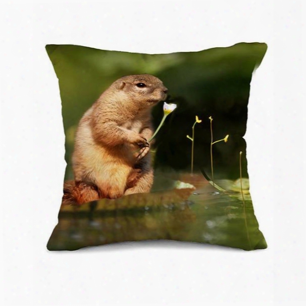 Super Cute Marmot Design 3d Throw Pillow Case