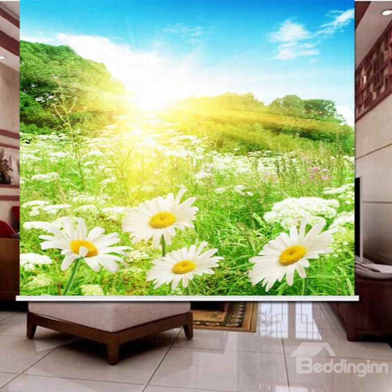 3d Daisies Trees And Bright Sunlight Printed Dust-proof Roller Shades