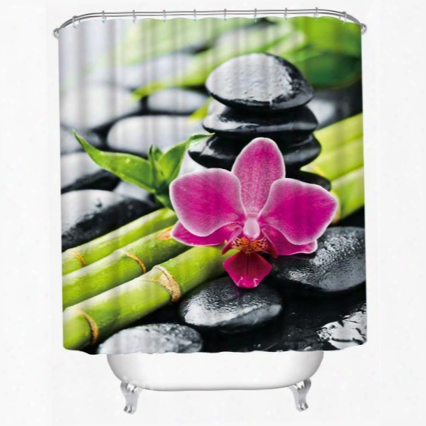 3d Phalaenopsis And Bamboo Printed Polyester Bathroom Shower Curtain