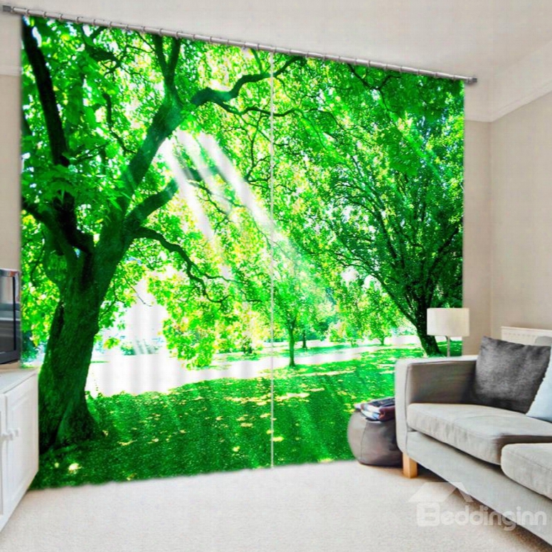 3d Printed Bright Sunshine And Reen Leaves Natural Style Polyester Curtain Roller Shades