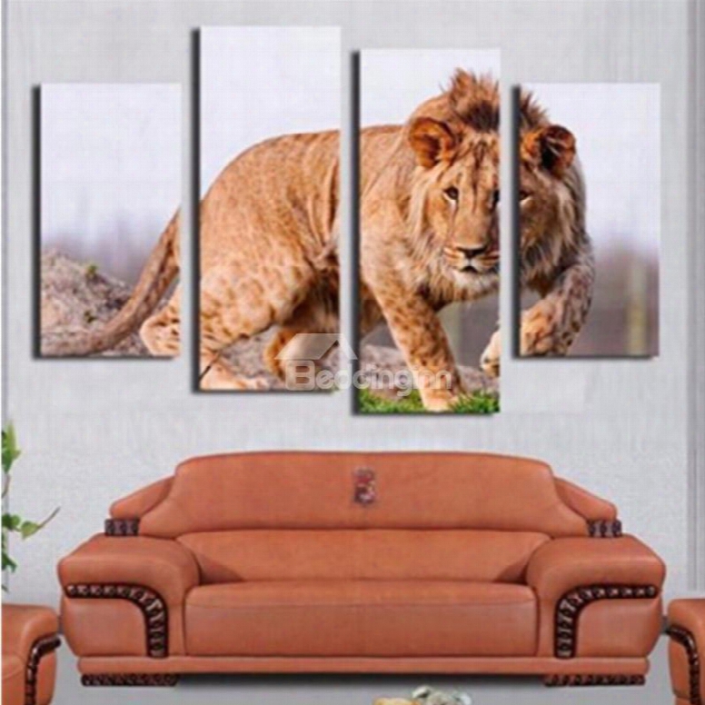 Brown Lion Walking On Ground Hanging 4-piece Canvas Eco-friendly And Waterproof Non-framed Prints