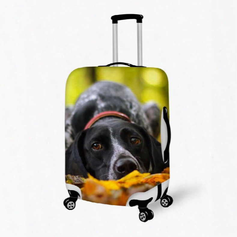 Glamours Dog Pattern 3d Painted Luggage Cover