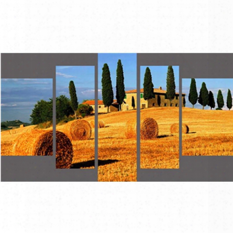 Golden Field And Houses Hanging 5-piece Canvas Eco-friendly And Waterproof Non-framed Prints