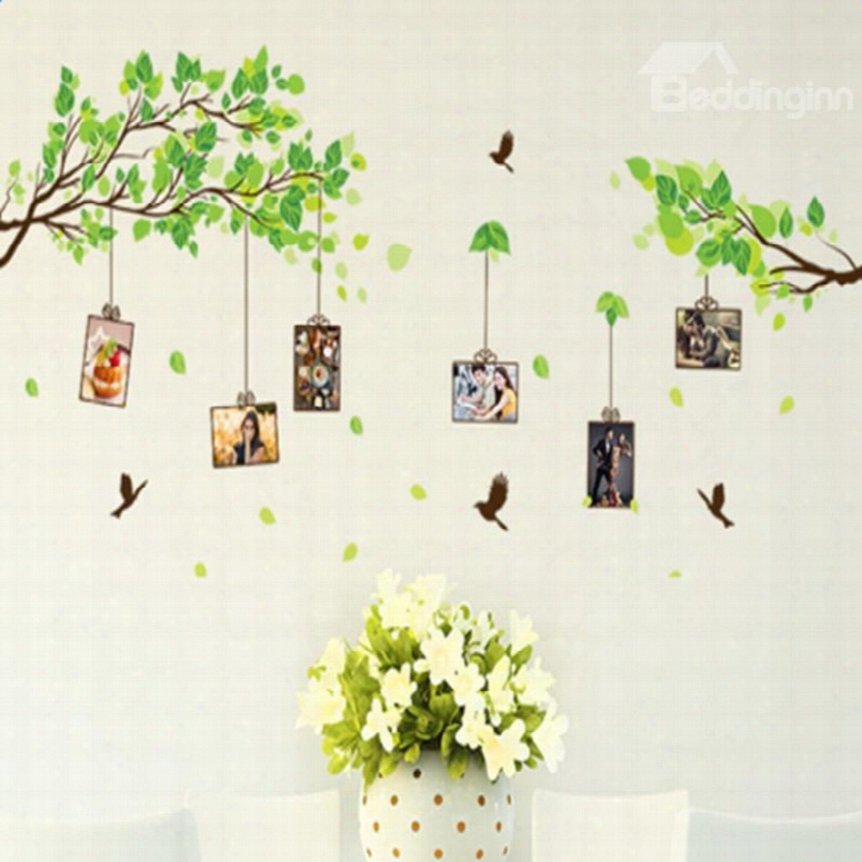 Green Tree 6 Photo Frames And Birds Waterproof And Environmental Wall Stickers