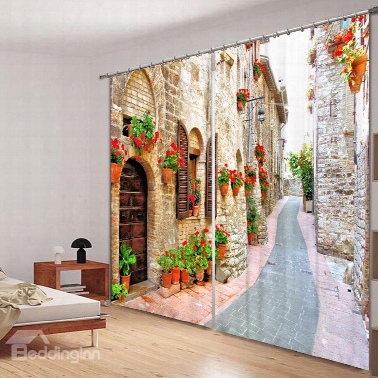 Peaceful Country Road Polyester Printing 3d Curtain