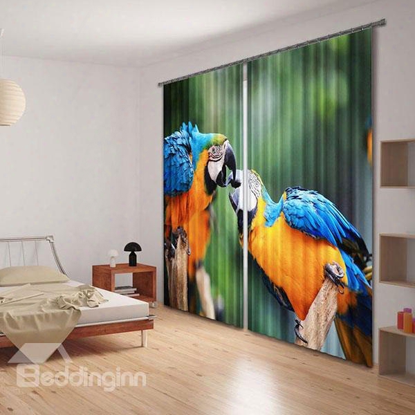 3d Two Beautiful Parrots Printed Animal Style Decoration Custom Living Room Curtain