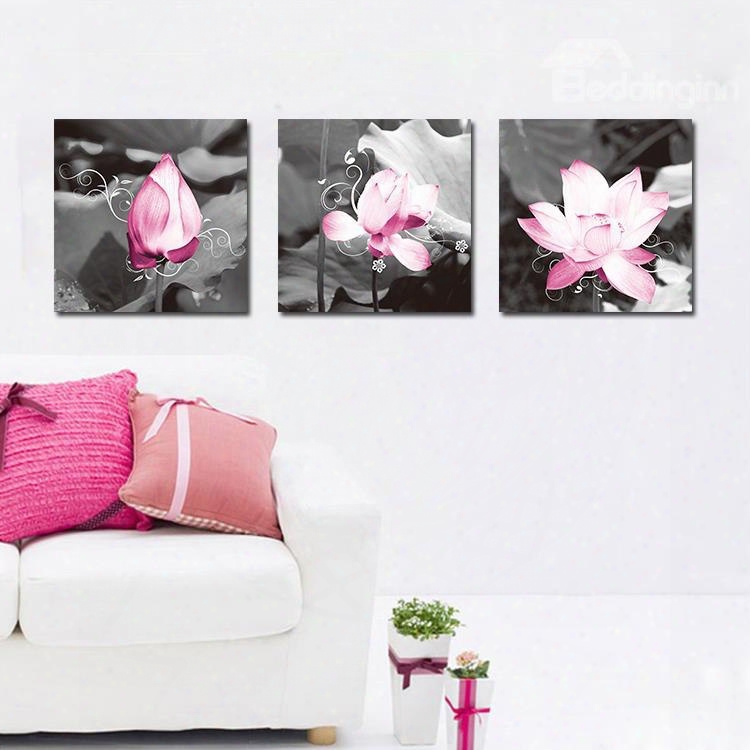 Adorable Lotus And Leaves Film Art Wall Prints