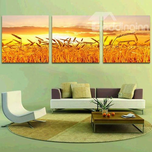 Beautiful Field Wheat 3-piece Crystal Film Art Wall Print