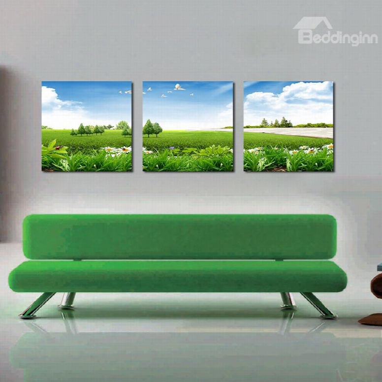 Beautiful Grass And Sky 3-pieces Of Crystal Film Art Wall Print