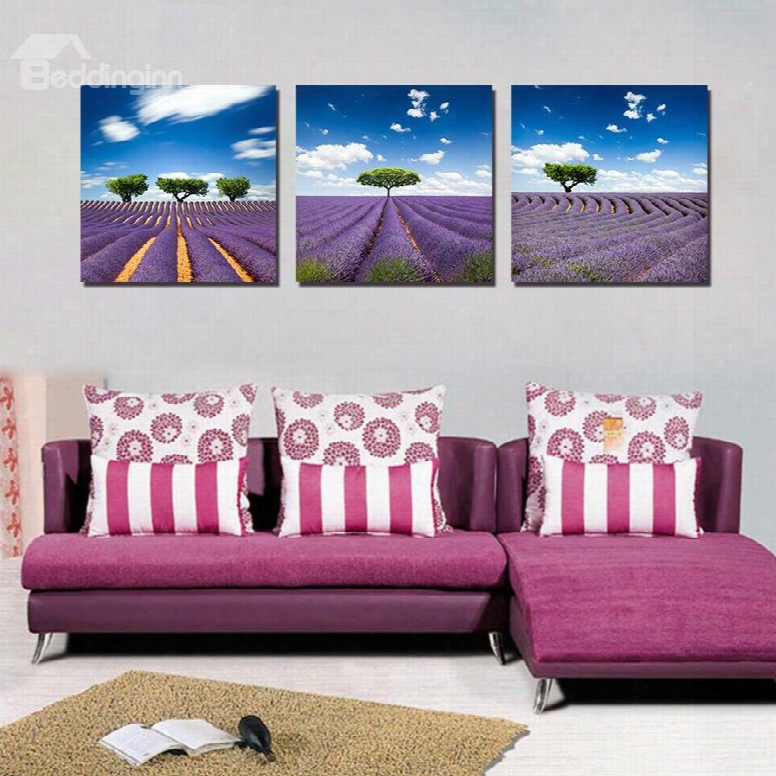 Beautiful Natural Scenery 3-pieces Of Crystal Film Art Wall Print