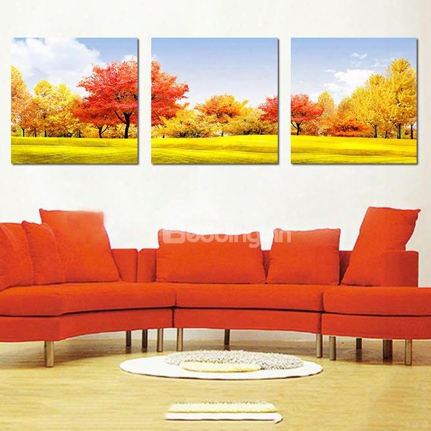 Beautiful New Classic Trees 3-pieces Of Crystal Film Art Wall Print