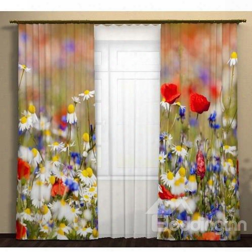 Blooming Daisy And Rose Printing 3d Curtain