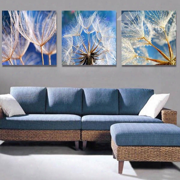 Fantastic Dandelion 3-piece Crystal Film Art Wall Print