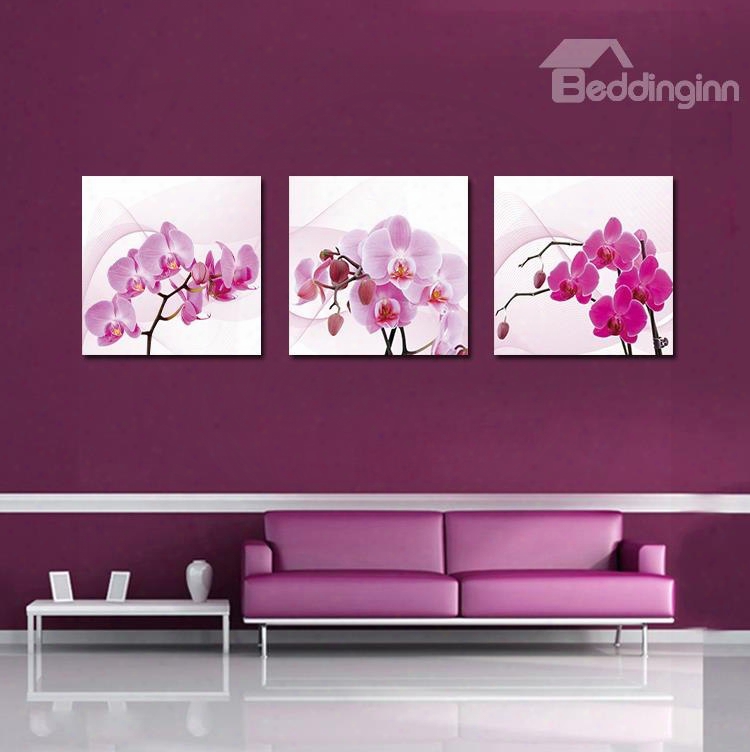 Flattering Pretty Orchid Pellicle Art Wall Prints