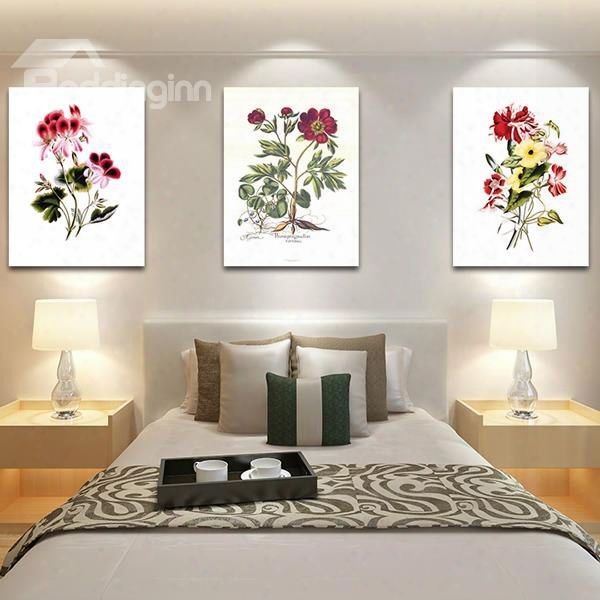 Graceful Plant Flowers 3-piece Crystal Film Art Wall Print