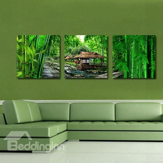 Pretty Green Bamboo 3-pieces Of Crystal Film Art Wall Print