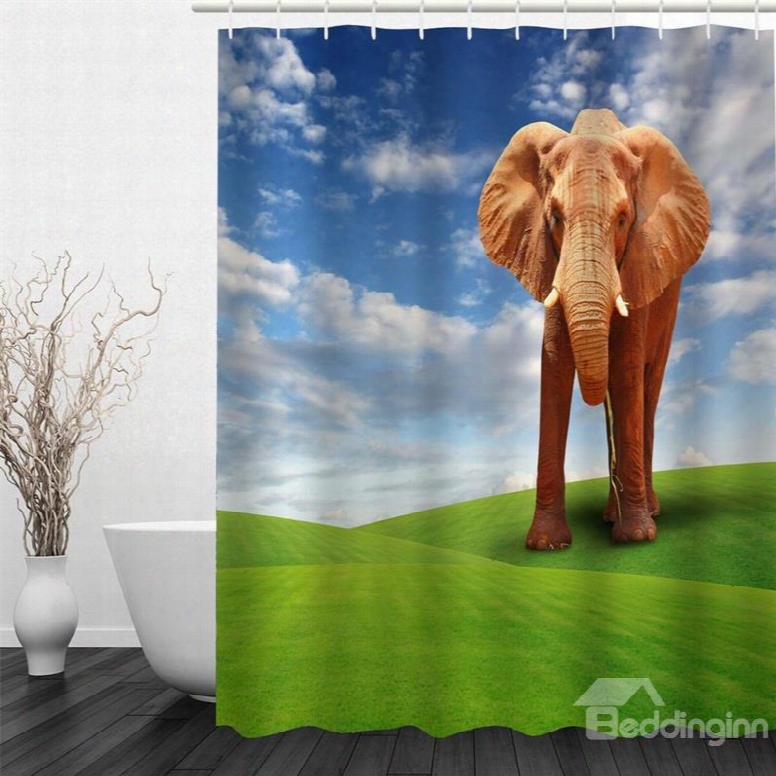 3d Elephant On Green Lawn Polyester Waterproof Antibacterial And Eco-friendly Shower Curtain