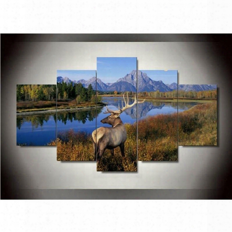 Deer Beside Tranquil Lake Hanging 5-piece Canvas Eco-friendly And Waterproof Non-framed Prints