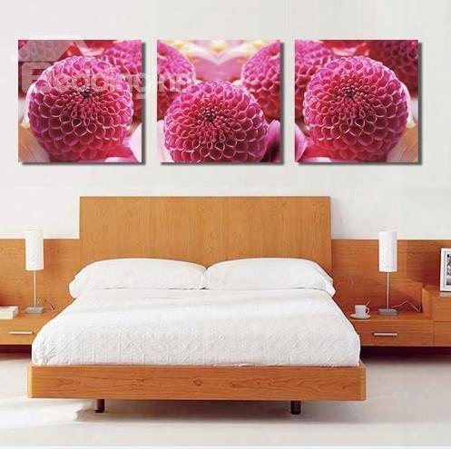 New Arrival Lovely Rose Re Floral Ball Print 3-piece Cross Film Wall Art Prints