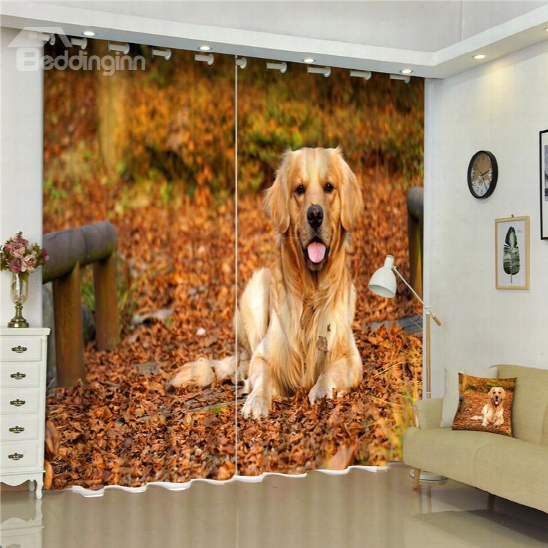 3d Lovely Labrador Retriever Printed Adorable Dog Decorative And Shading Curtian